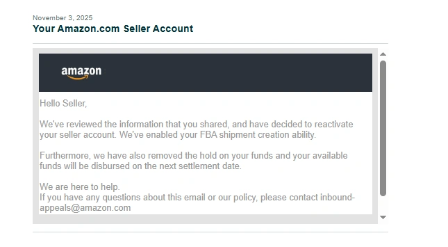 Amazon Seller Account Reinstatement